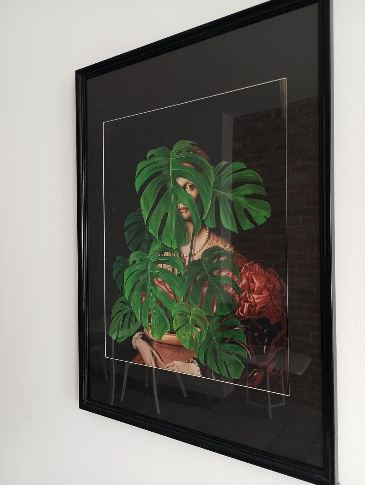 Monstera Ii- Sniadanie Leilighet *